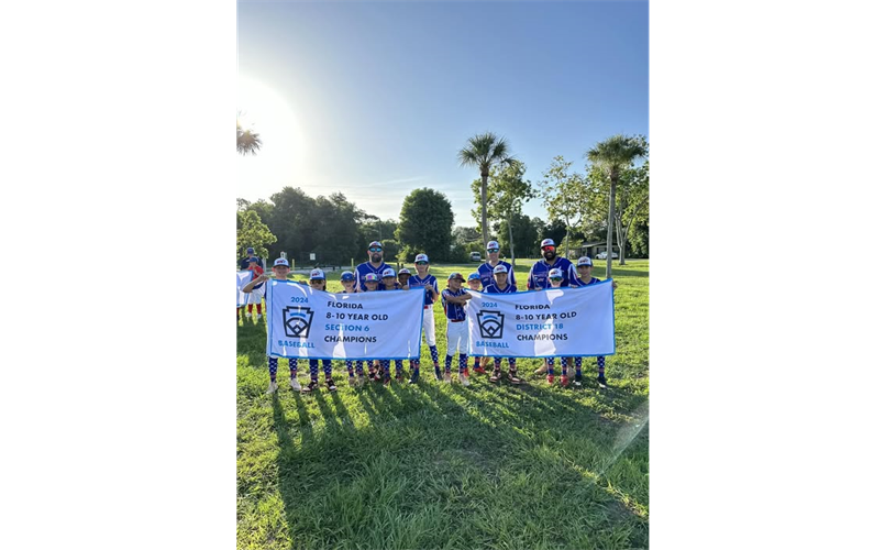 All Stars 8-10 State Tournament Bound